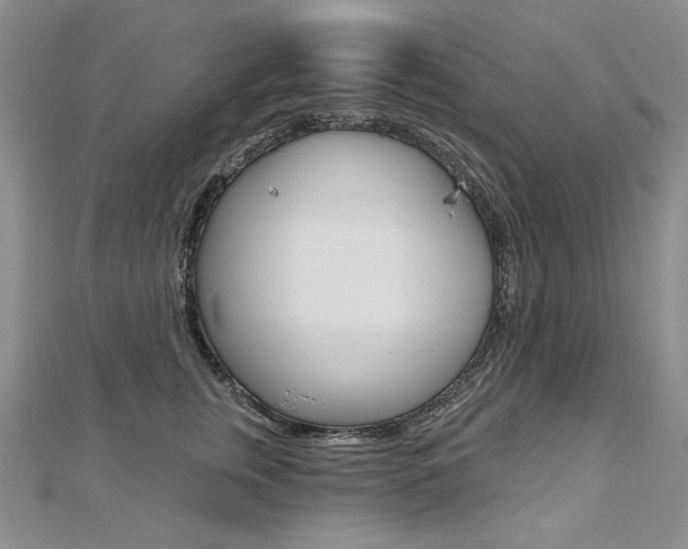 X0000112480759200908171012