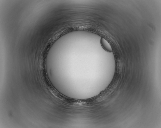 X0000112480760200908171012