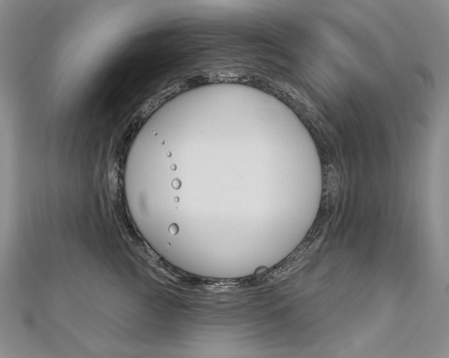 X0000112480761200908171012