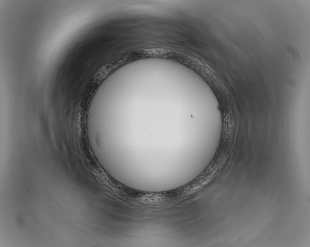 X0000112480762200908171012