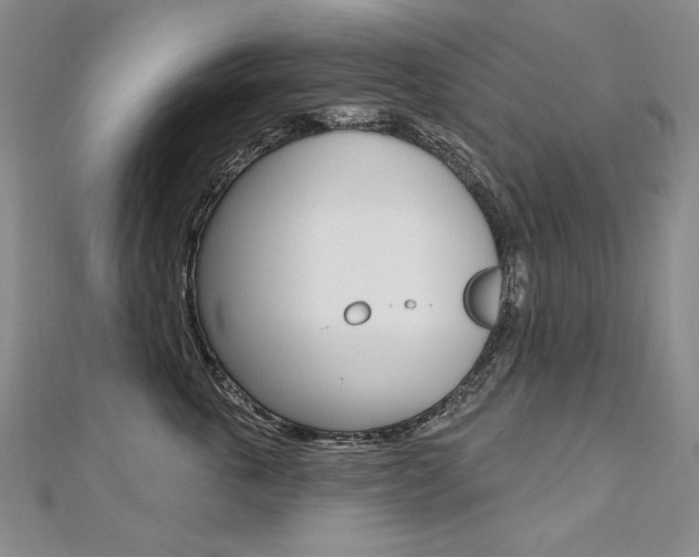 X0000112480763200908171012