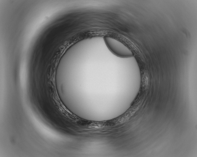 X0000112480764200908171012