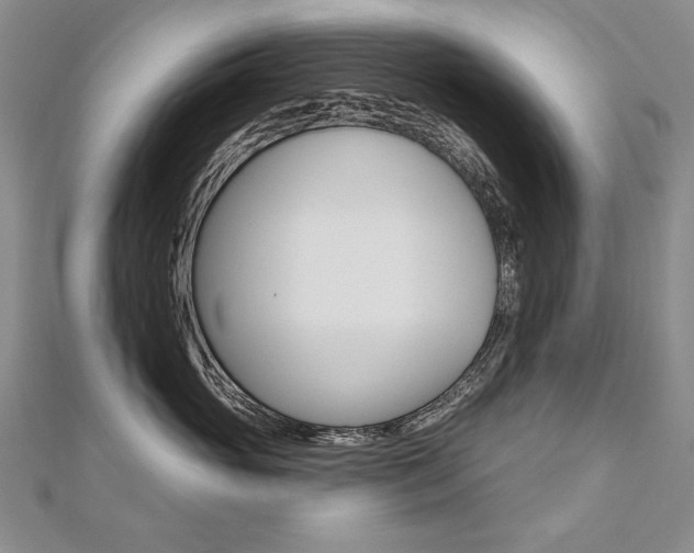 X0000112480765200908171012