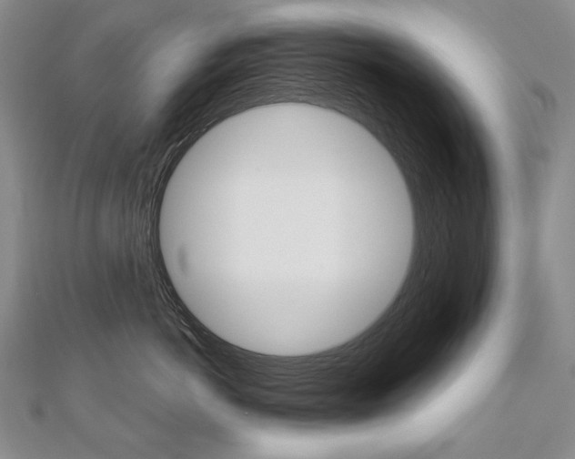 X0000112480766200908171012