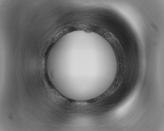 X0000112480767200908171012