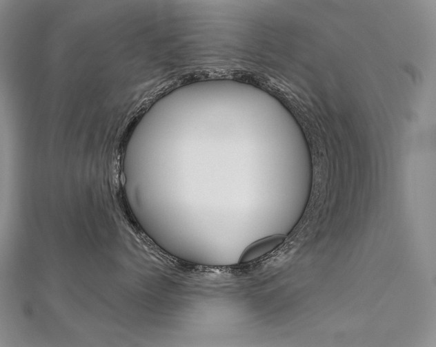 X0000112480768200908171012