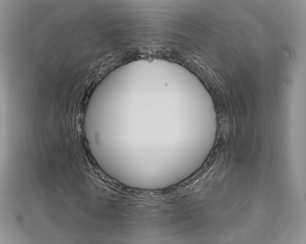 X0000112480770200908171011