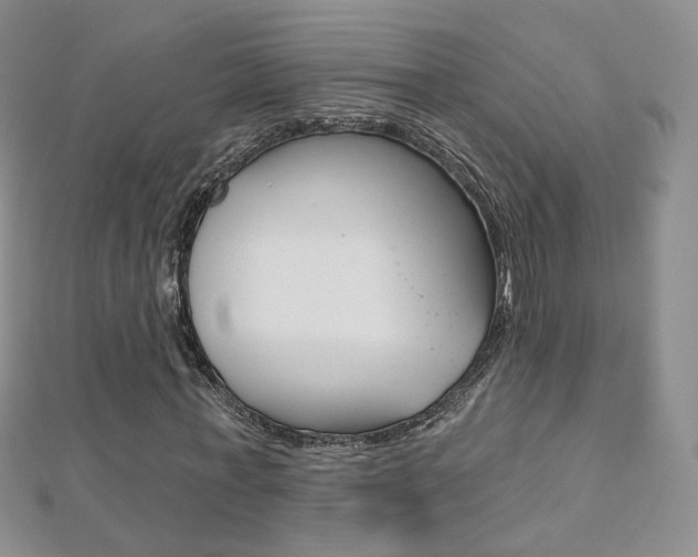 X0000112480771200908171011
