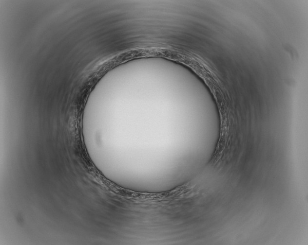 X0000112480773200908171011