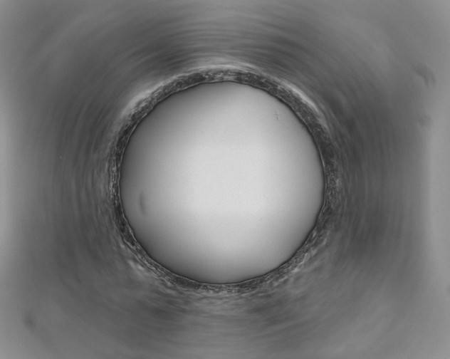 X0000112480775200908171011