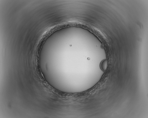 X0000112480776200908171011