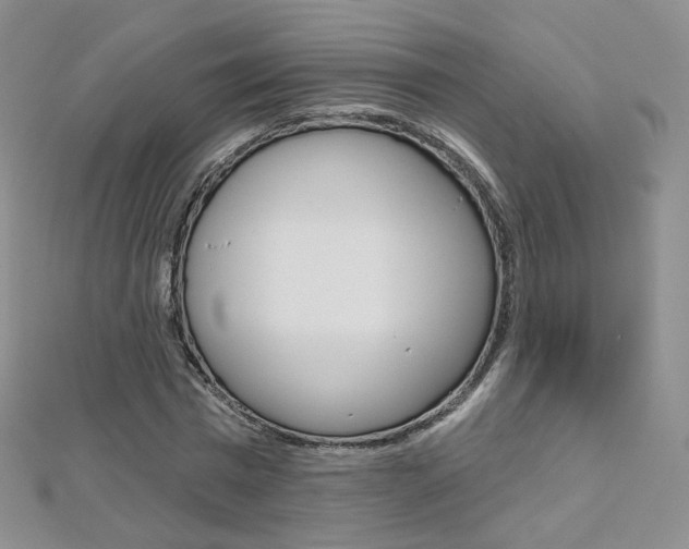 X0000112480777200908171011