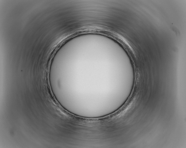 X0000112480778200908171011