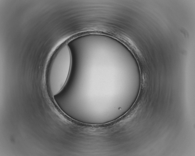 X0000112480780200908171011