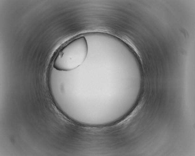 X0000112480781200908171011