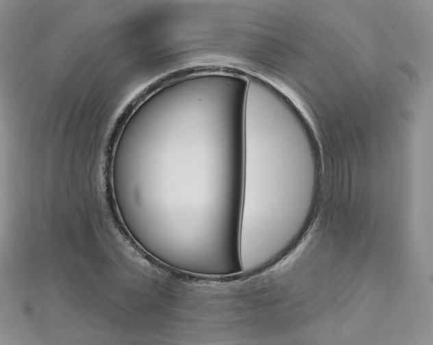 X0000112480783200908171011