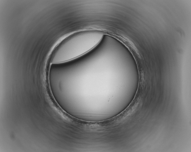 X0000112480784200908171011