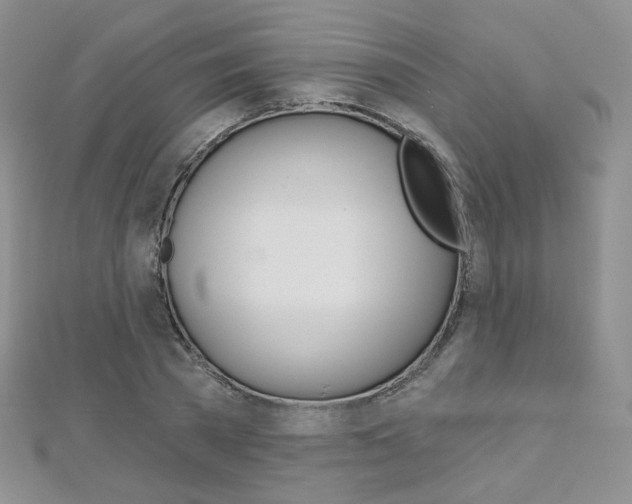 X0000112480785200908171011
