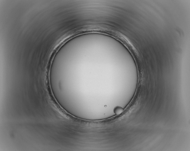X0000112480786200908171011