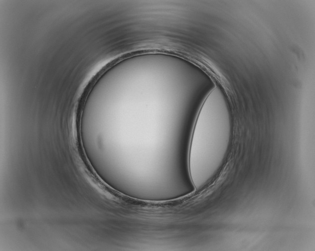 X0000112480788200908171011