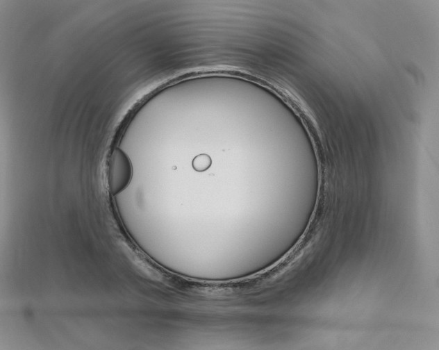 X0000112480789200908171011