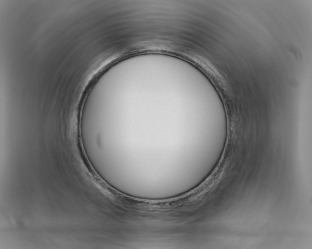 X0000112480790200908171011