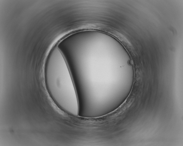 X0000112480792200908171011