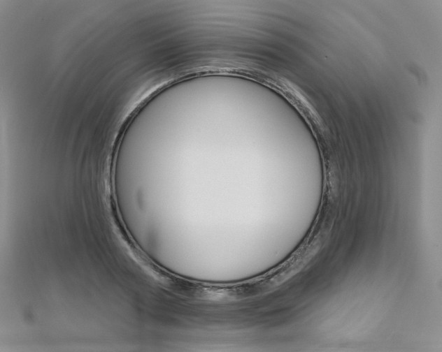 X0000112480794200908171011