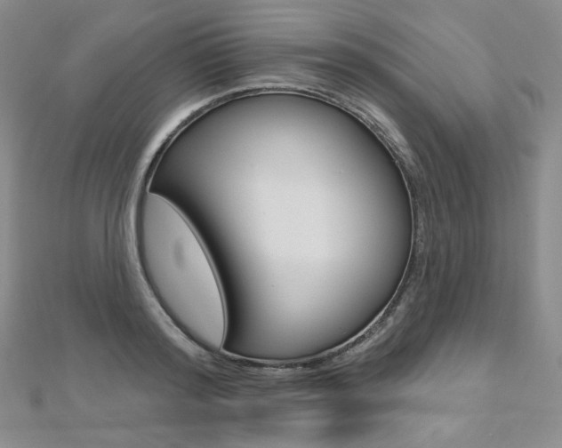 X0000112480796200908171011