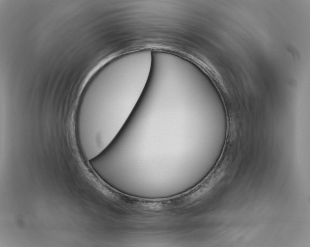 X0000112480798200908171011