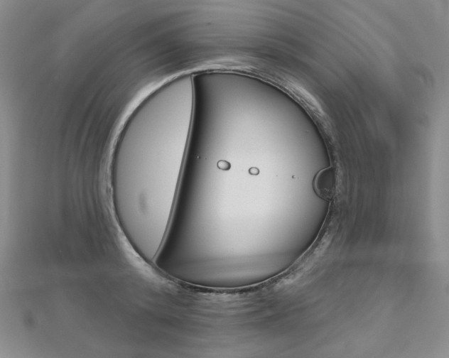 X0000112480800200908171011