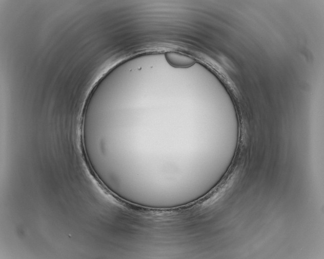 X0000112480802200908171011