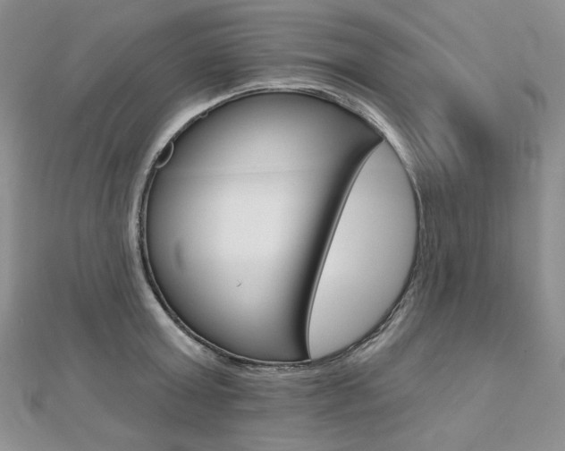 X0000112480803200908171011