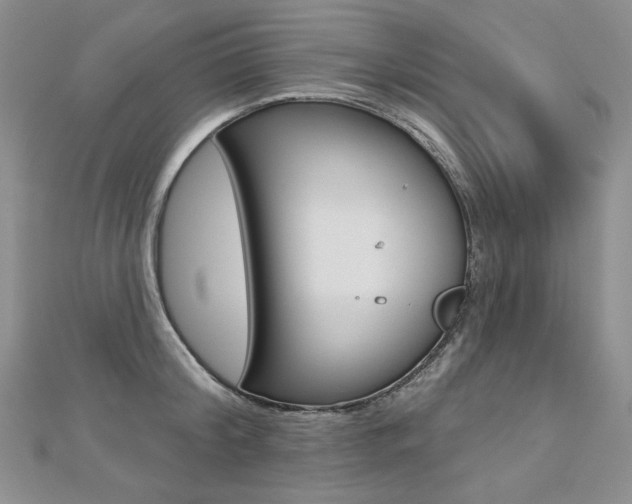 X0000112480804200908171011