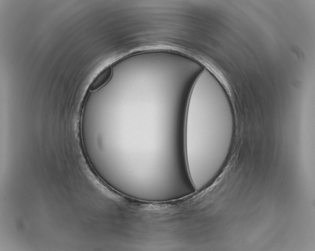 X0000112480805200908171011
