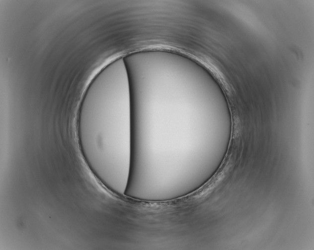 X0000112480806200908171011