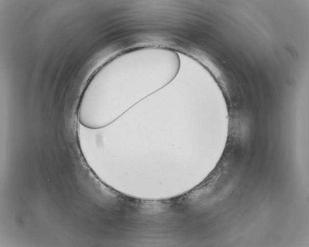 X0000112480807200908171011