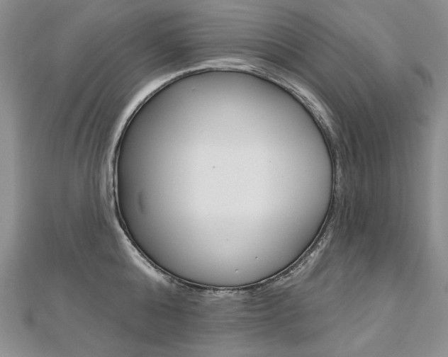 X0000112480808200908171011