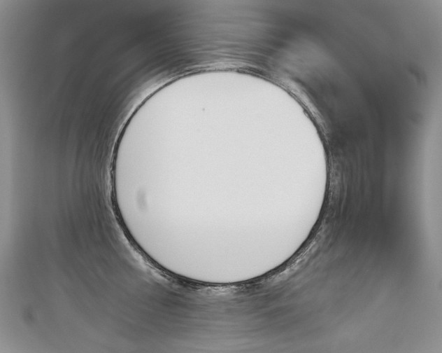 X0000112480810200908171011