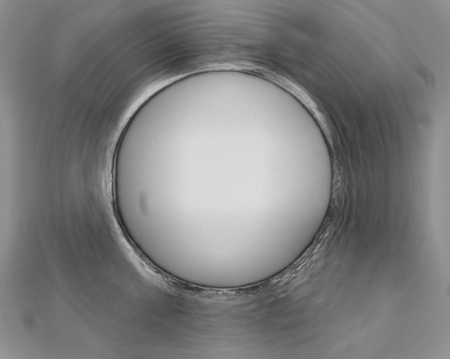 X0000112480811200908171011
