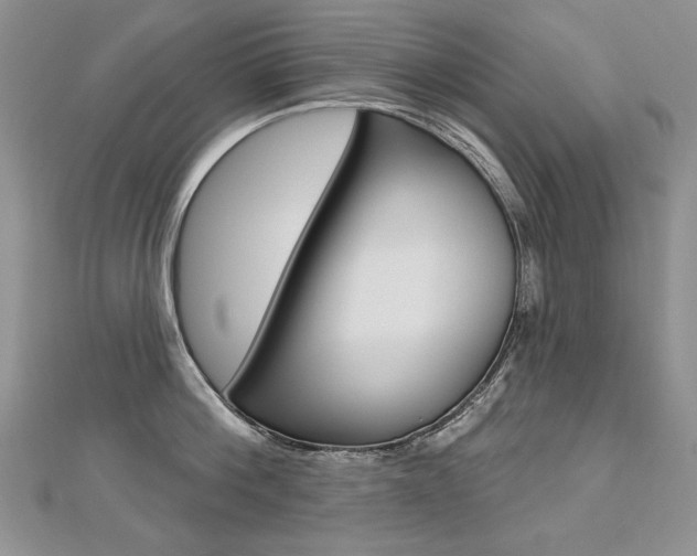 X0000112480812200908171011