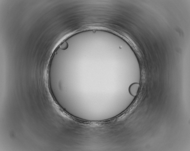 X0000112480814200908171011