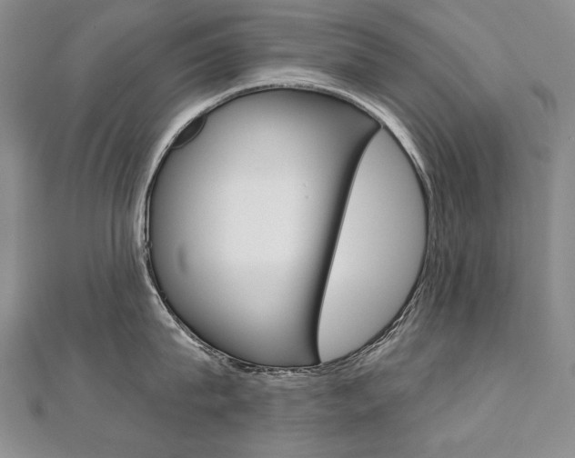 X0000112480815200908171011