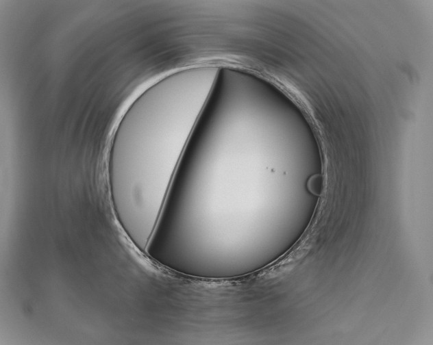 X0000112480816200908171011