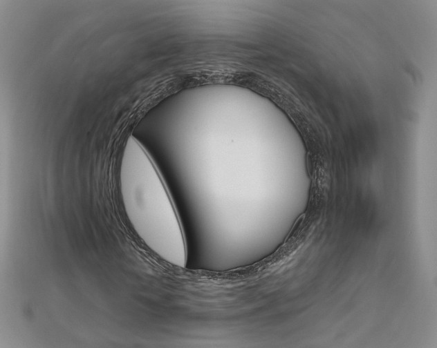 X0000112480818200908171010