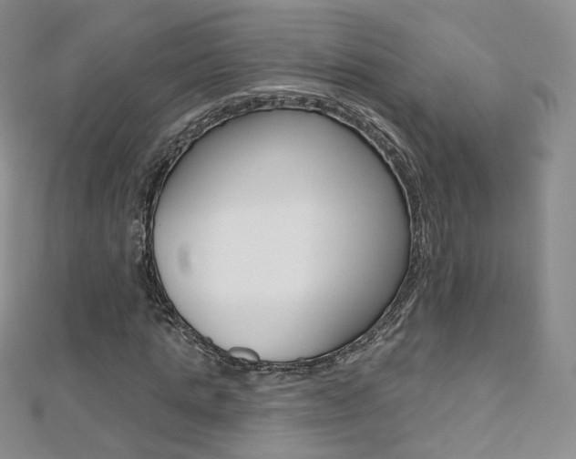 X0000112480821200908171010