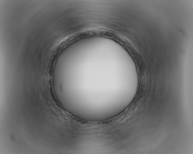 X0000112480822200908171010