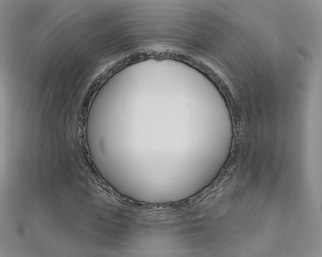 X0000112480823200908171010