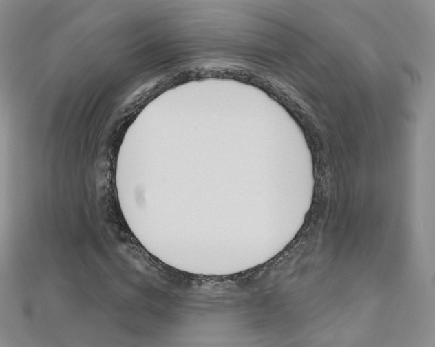 X0000112480824200908171010