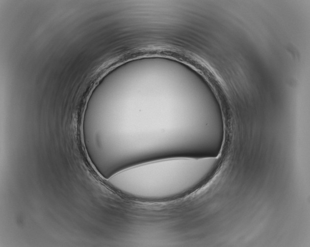 X0000112480825200908171010